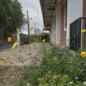 Windy Hanthana Guest house